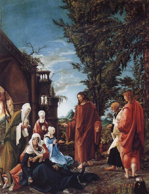 ALTDORFER, Albrecht Christ Taking Leave of his mother oil painting picture